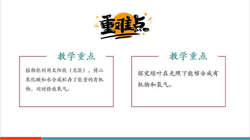 4.11.1 植物的光合作用（教学课件）第3页
