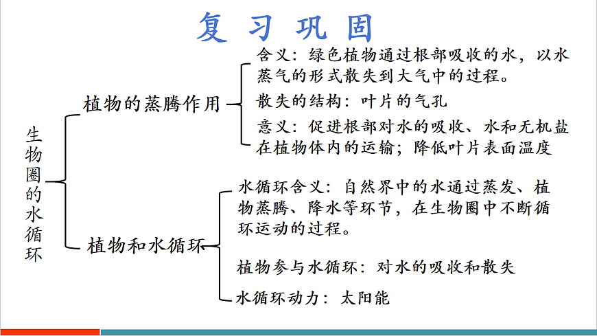 4.11.1 植物的光合作用（教学课件）第4页