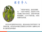【新課標(biāo)新教材】蘇教版生物七年級下冊4.11.1 植物的光合作用（教學(xué)課件+教學(xué)設(shè)計(jì)+分層練習(xí)含答案）