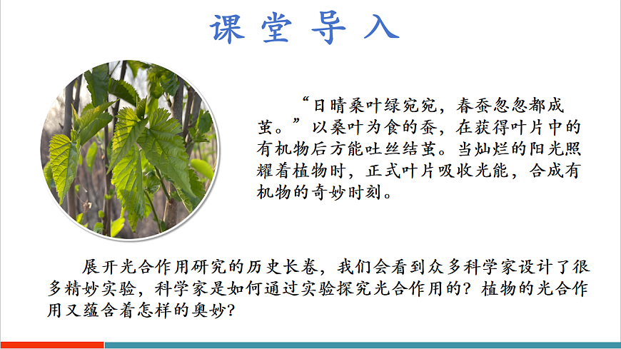 4.11.1 植物的光合作用（教学课件）第5页