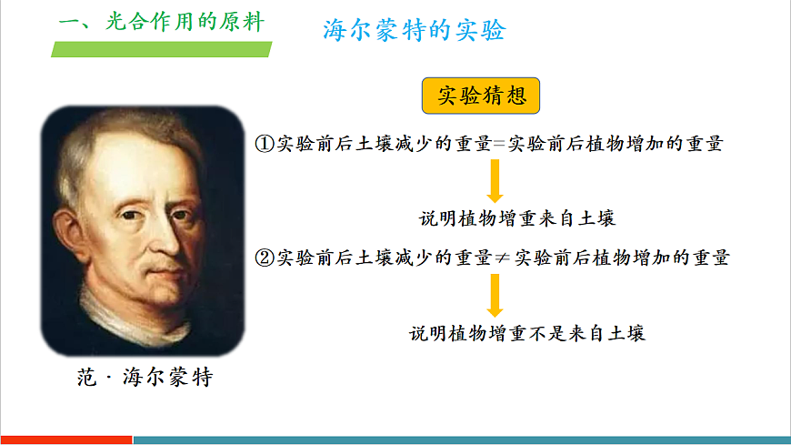 4.11.1 植物的光合作用（教学课件）第7页