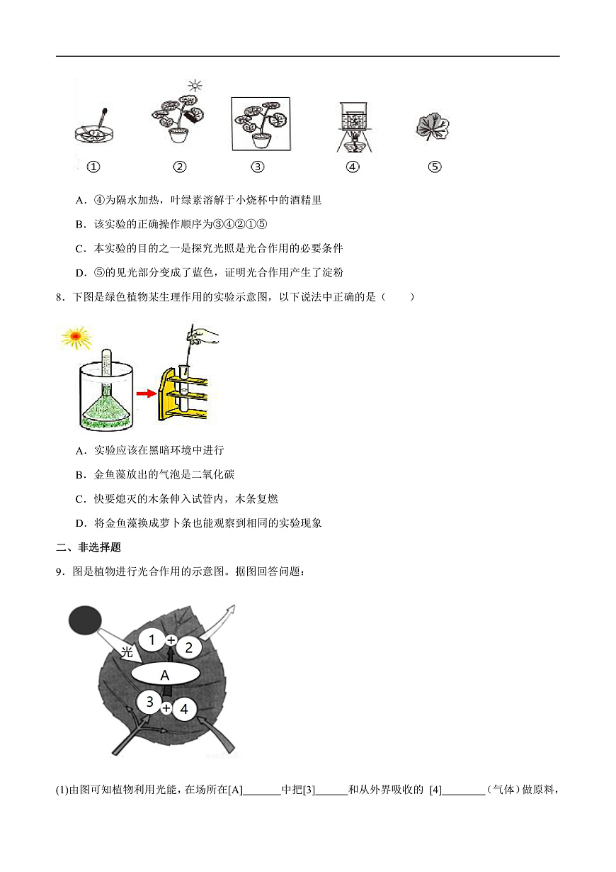 4.11.1 植物的光合作用 (分层作业）（原卷版）第3页