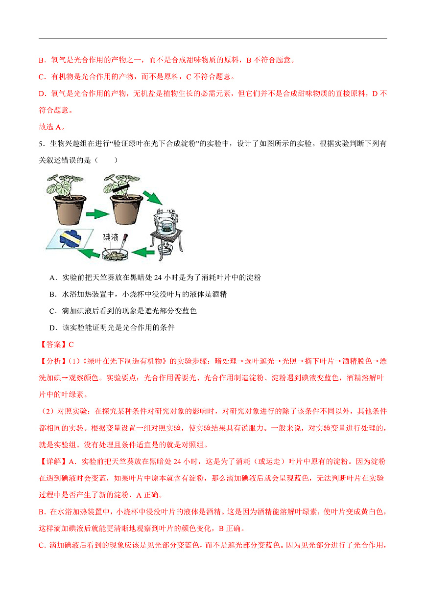 4.11.1 植物的光合作用 (分层作业）（解析版）第3页