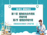 【新課標(biāo)新教材】蘇教版生物七年級下冊4.11.2 植物的呼吸作用（教學(xué)課件+教學(xué)設(shè)計(jì)+分層練習(xí)含答案）