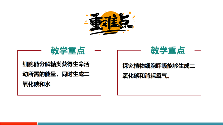 4.11.2 植物的呼吸作用（教学课件）第3页