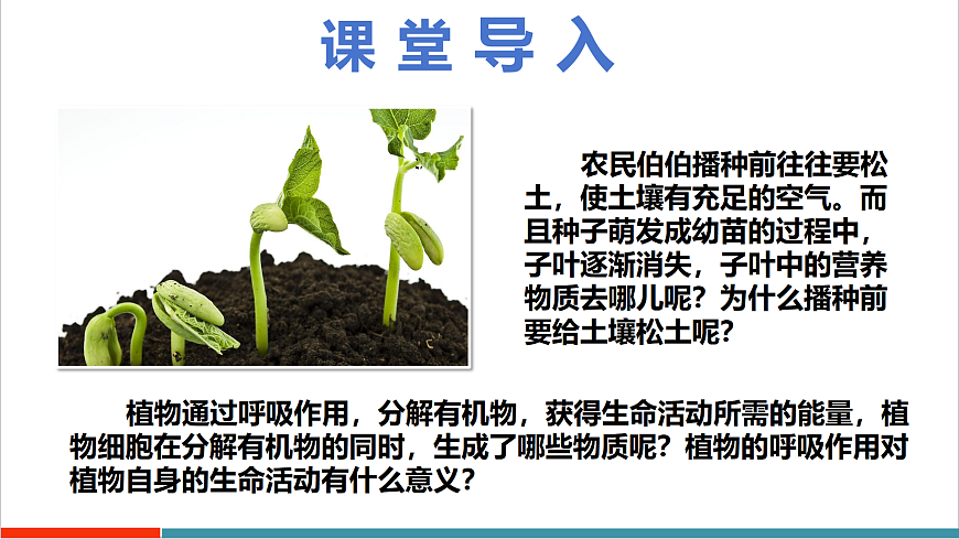 4.11.2 植物的呼吸作用（教学课件）第5页