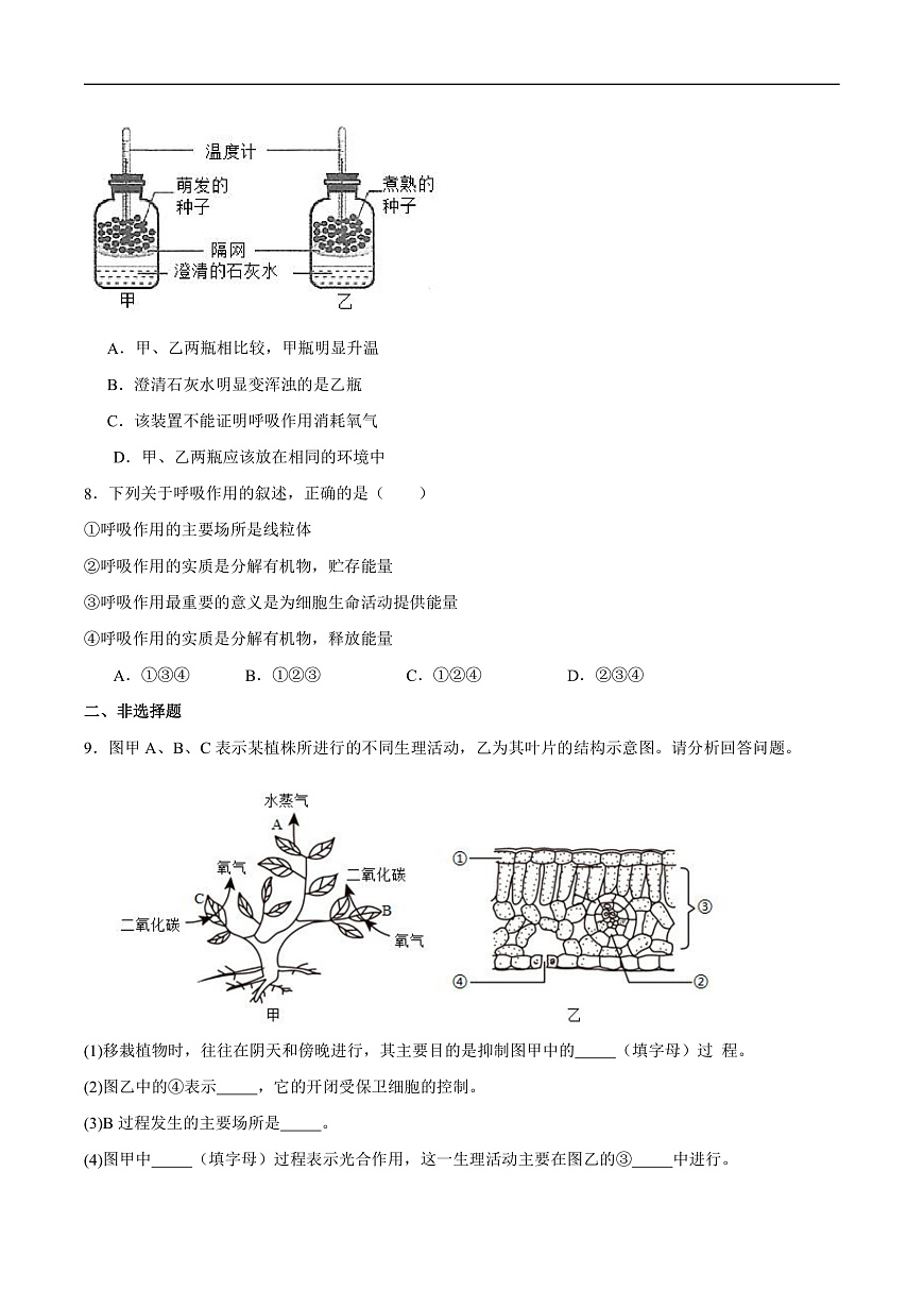 4.11.2 植物的呼吸作用 (分层作业）（原卷版）第3页