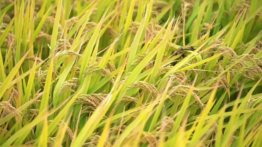 《有多少浪费本可避免》第6页