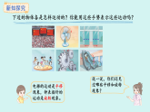 5.1.平移與旋轉(zhuǎn)(課件)2025-2026學(xué)年蘇教版三年級數(shù)學(xué)上冊