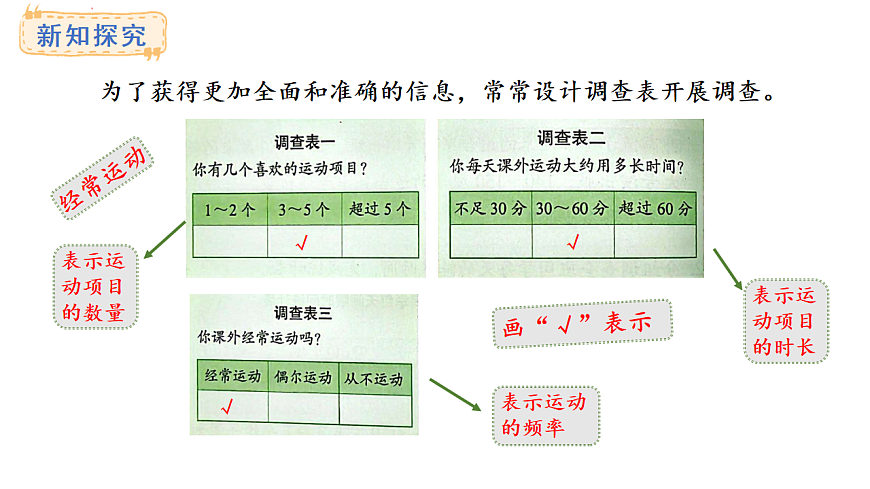 苏教版数学三年级上册3. 3 根据调查表收集数据课件第5页