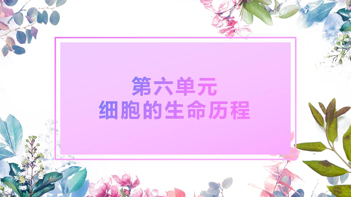 6.1《细胞的增殖》（课时2）第1页