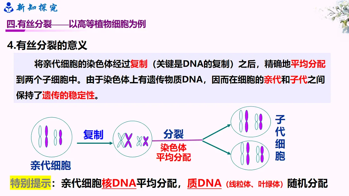 6.1《细胞的增殖》（课时2）第7页