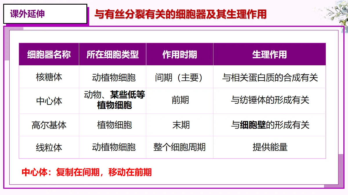 6.1《细胞的增殖》（课时2）第8页