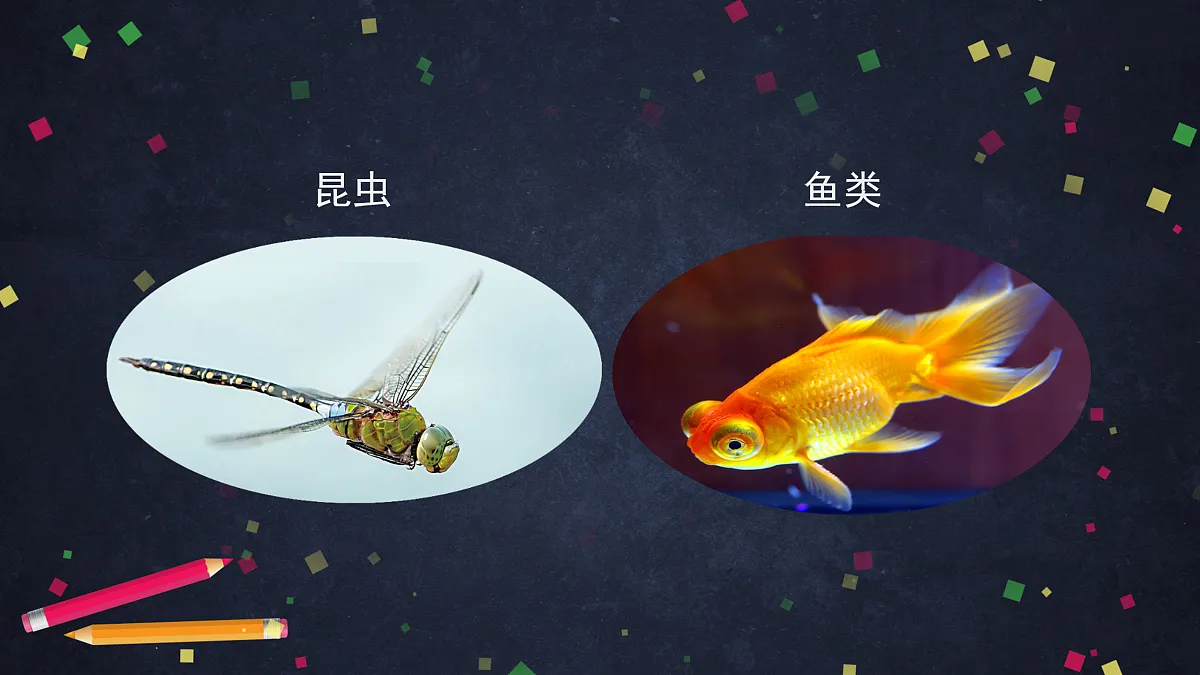 17230264第2页