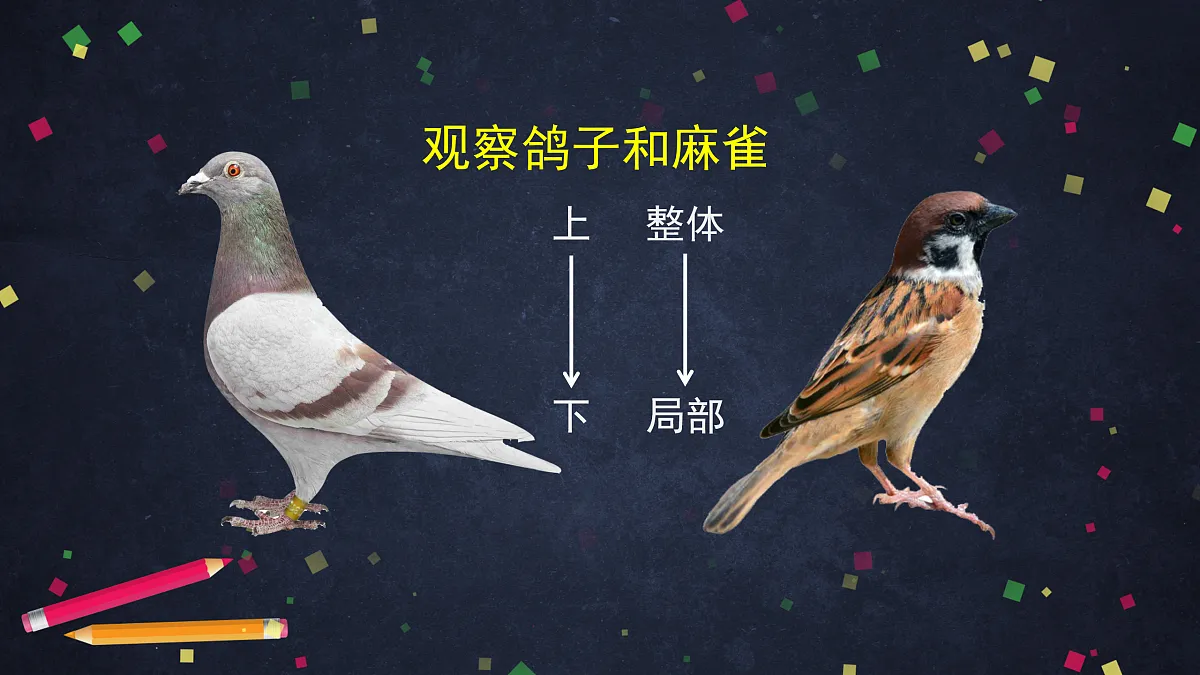 17230264第4页