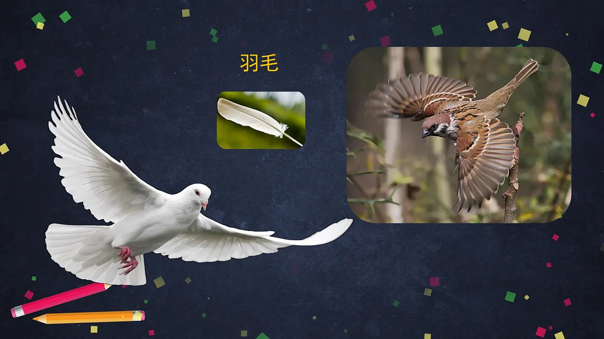 17230264第8页