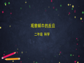(湘科版)二年级科学上册2.2 观察蜗牛的反应-课件