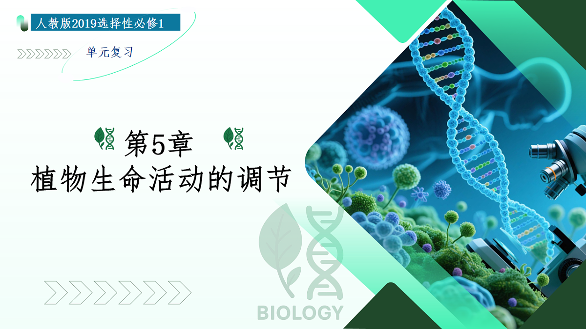 第5章 植物生命活动的调节（复习课件）-2025-2026学年高中生物选择性必修1（人教版2019）第1页