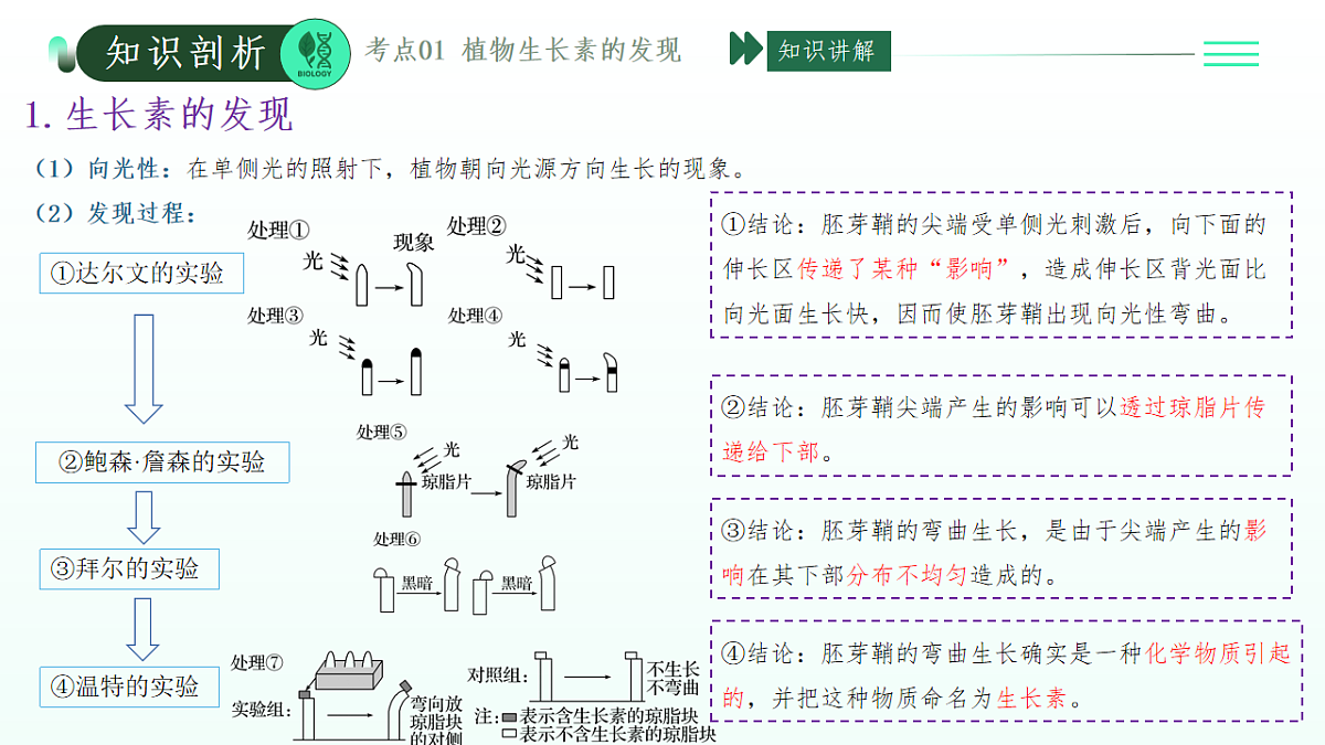 第5章 植物生命活动的调节（复习课件）-2025-2026学年高中生物选择性必修1（人教版2019）第4页