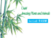 新人教版初中英语8上Unit4  Amazing Plants and Animals SectionB单词听读与解析 课件