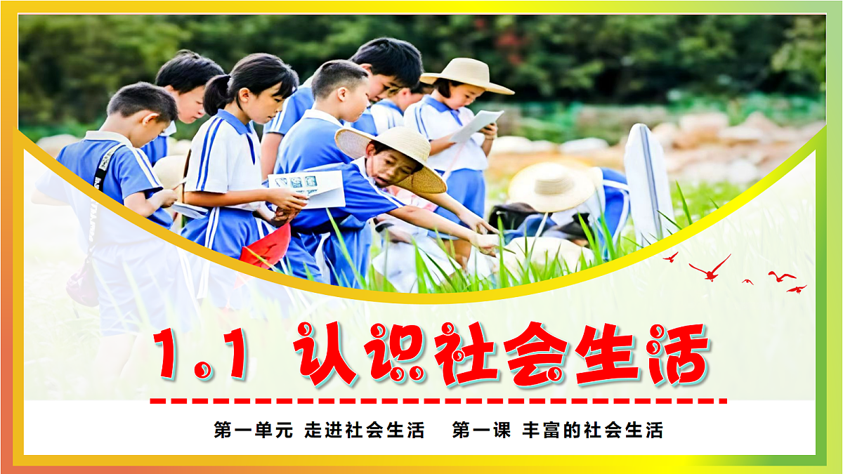17243740第4页