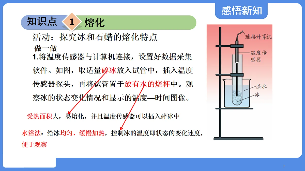 17244137第7页
