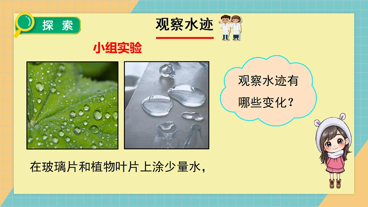 17244889第4页