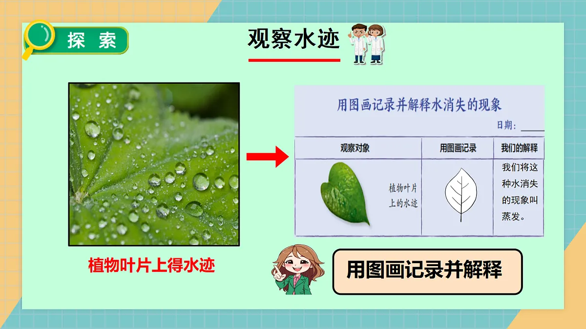 17244889第6页