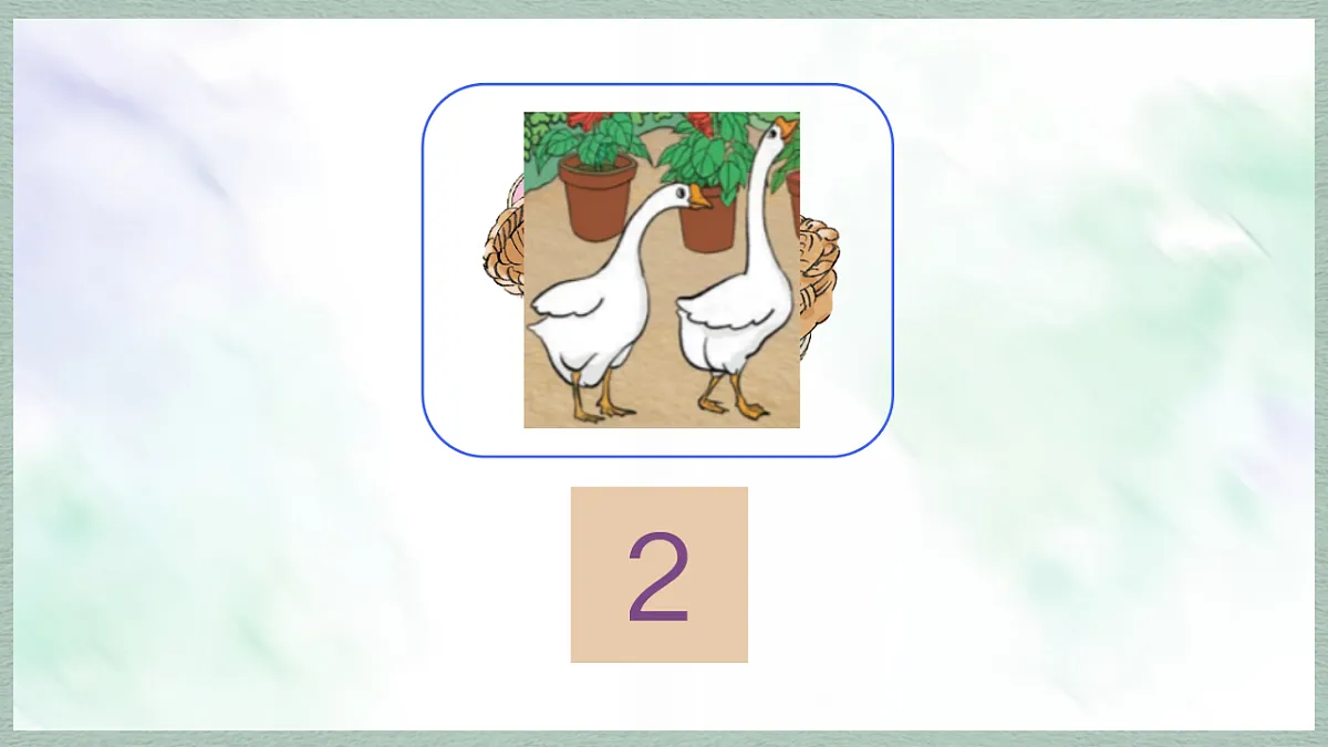 17247400第4页