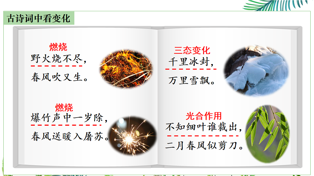 17247412第5页