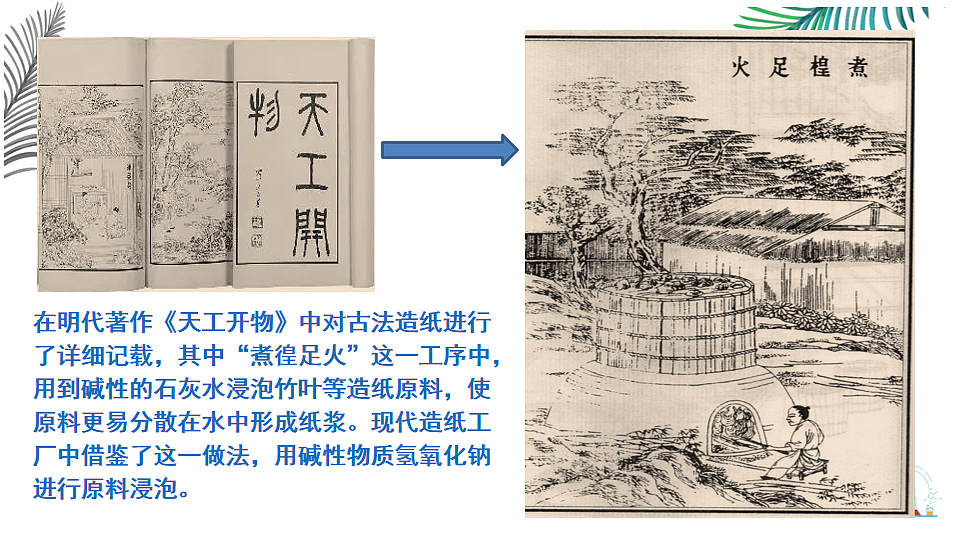 17247415第3页