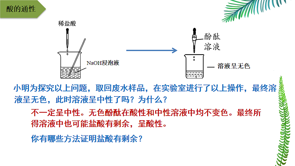 17247415第5页