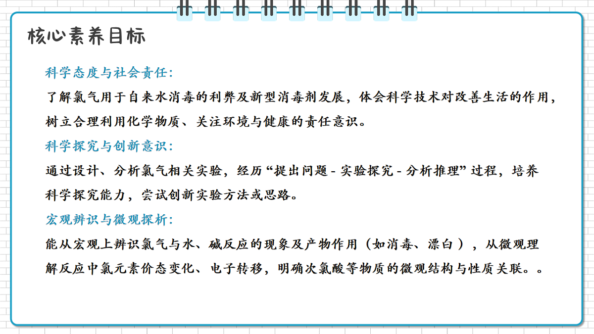 17247851第2页