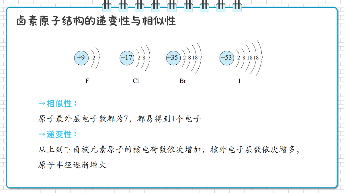 17247865第8页