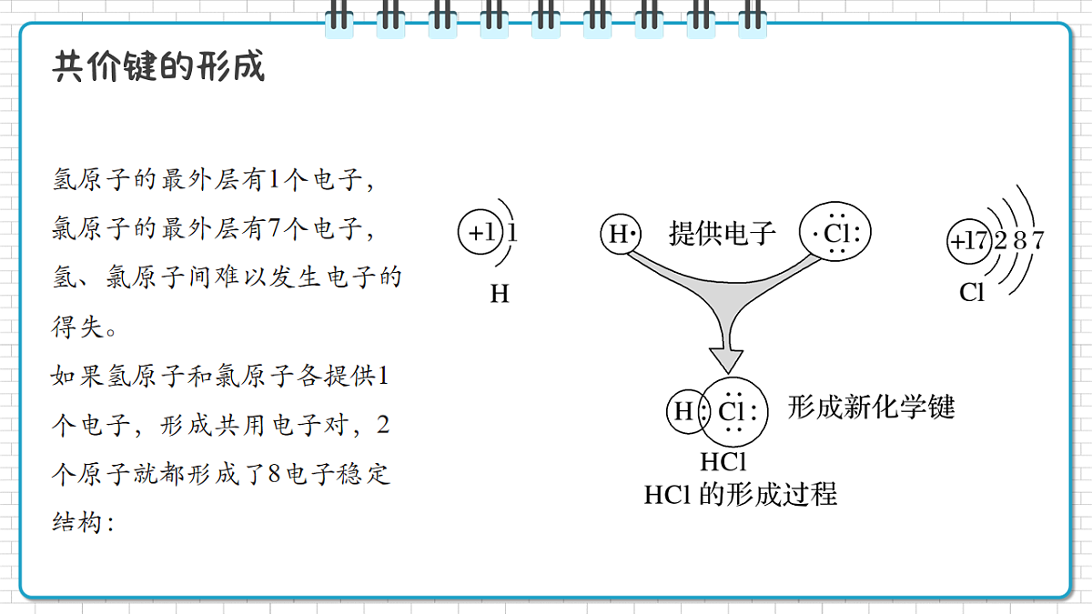 17247869第7页