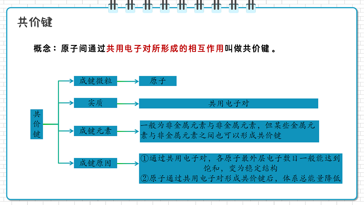 17247869第8页