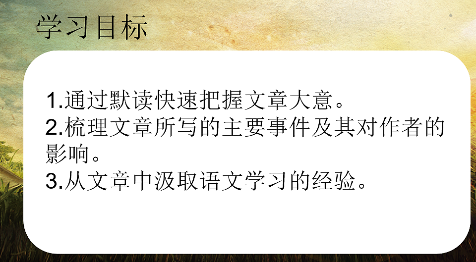 17247929第2页