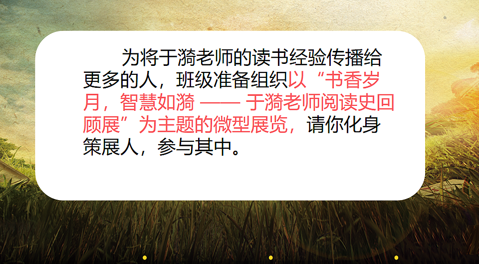 17247929第3页