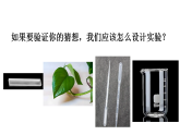小學(xué)科學(xué)新教科版三年級上冊2.1.水到哪里去了教學(xué)課件（2025秋）