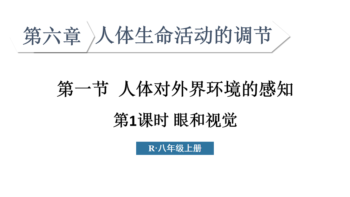 17248481第2页