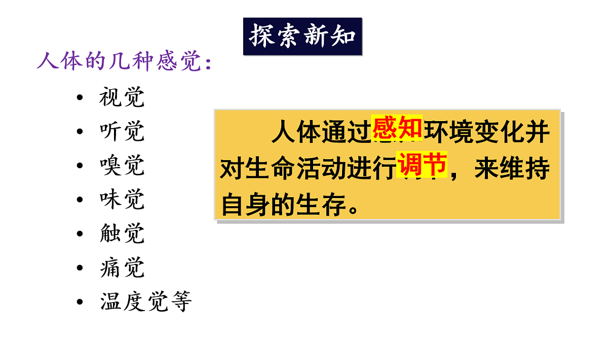 17248481第6页