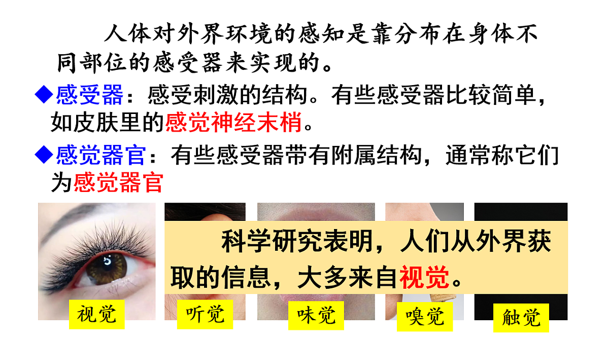 17248481第7页