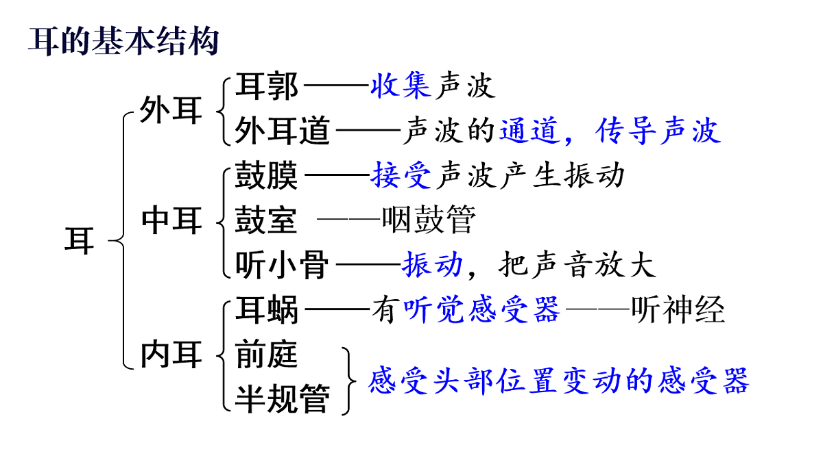 17248482第6页
