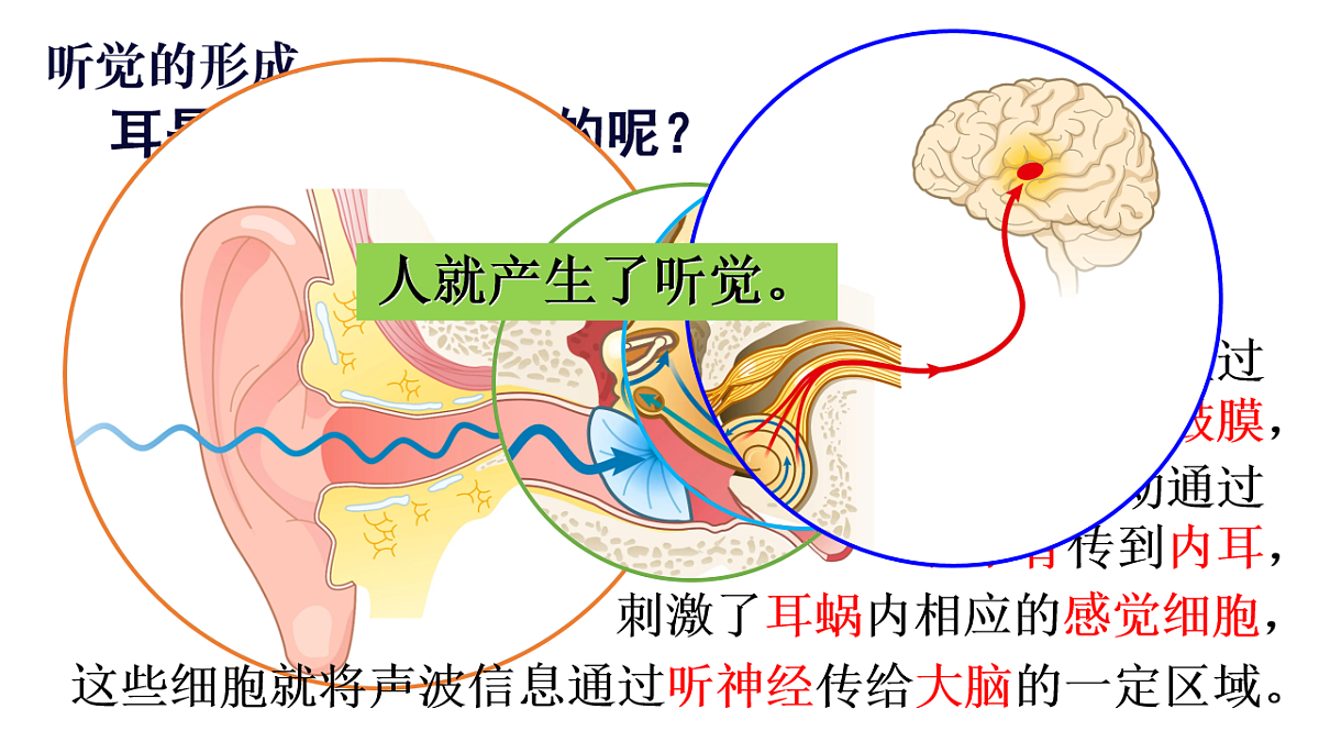 17248482第7页