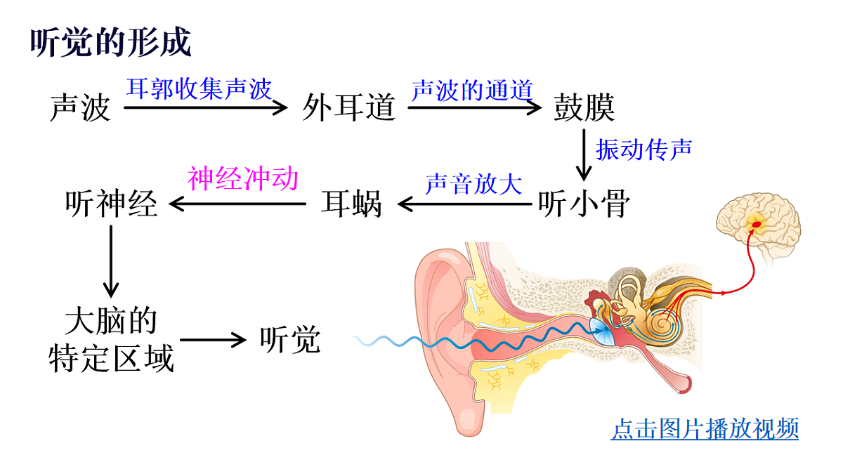17248482第8页