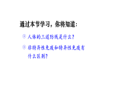 初中生物新人教版八年級(jí)上冊(cè)第四單元第七章第二節(jié) 第一課時(shí) 人體的三道防線(xiàn) 教學(xué)課件（2025秋）