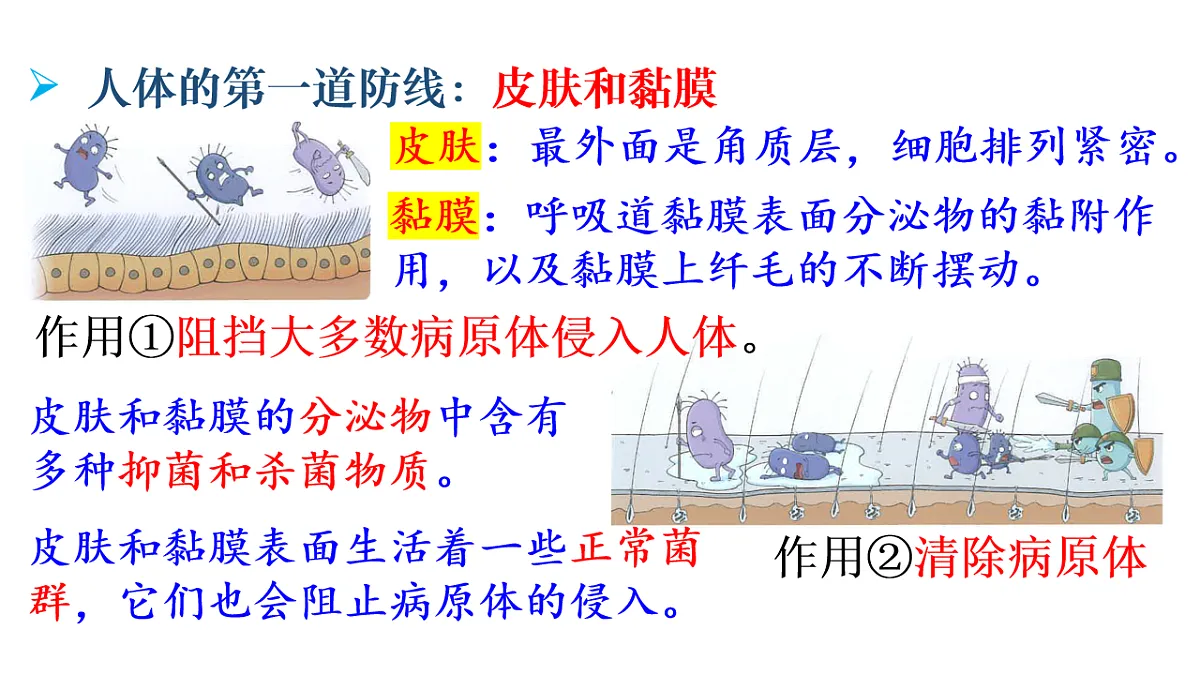 17248483第7页
