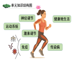 初中生物新人教版八年級上冊第四單元單元小結(jié)教學課件（2025秋）