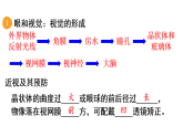 初中生物新人教版八年級上冊第四單元單元小結(jié)教學課件（2025秋）