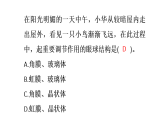 初中生物新人教版八年級上冊第四單元單元小結(jié)教學課件（2025秋）